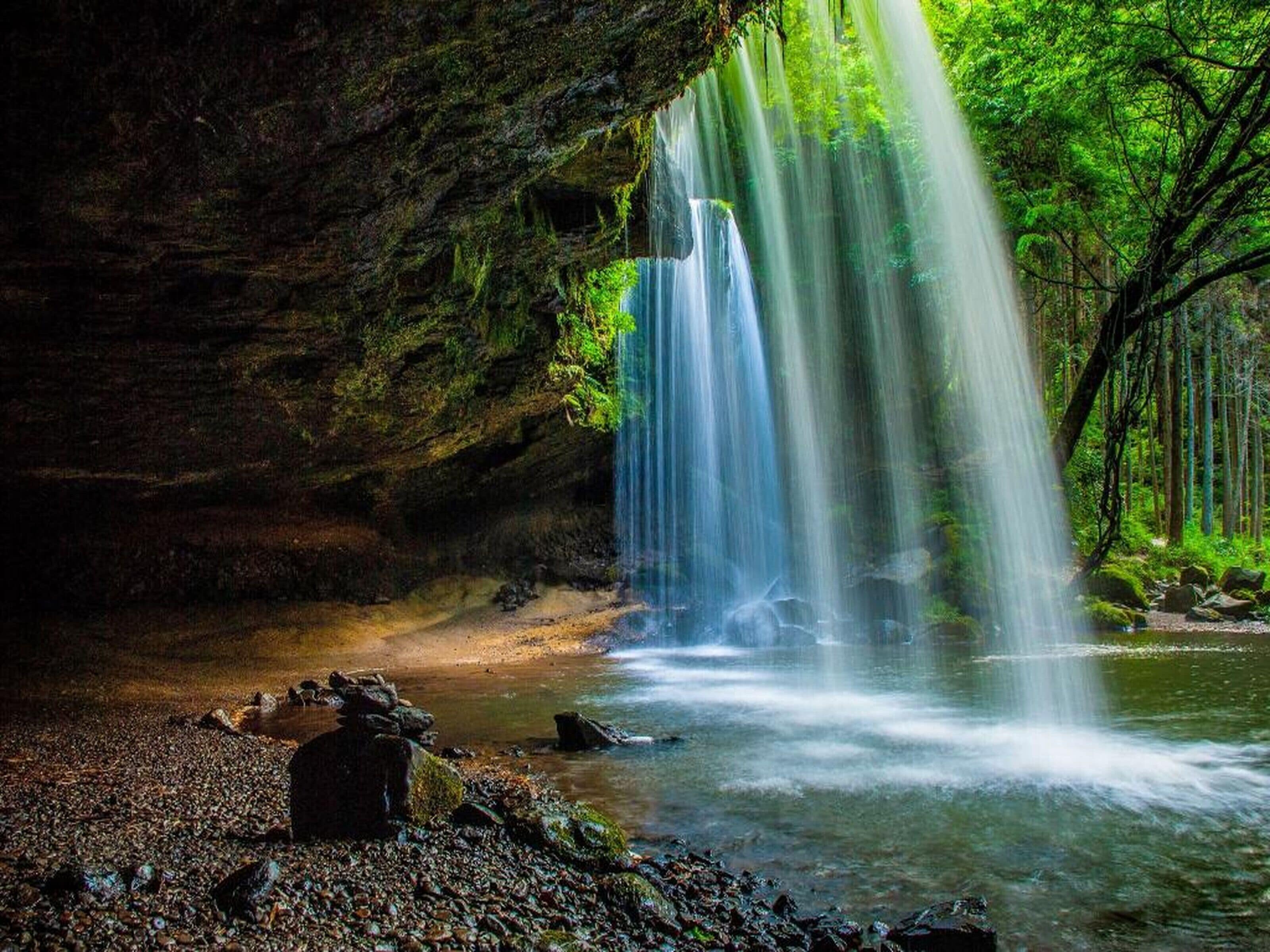 Una cascada natural en zona boscosa, con primer plano rocoso y un arroyo cristalino.