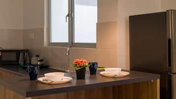 Fridge, microwave, dishwasher, electric kettle