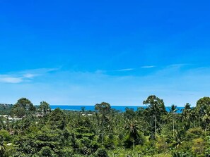Un paysage tropical caractérisé par une végétation luxuriante et un ciel d’un bleu éclatant.