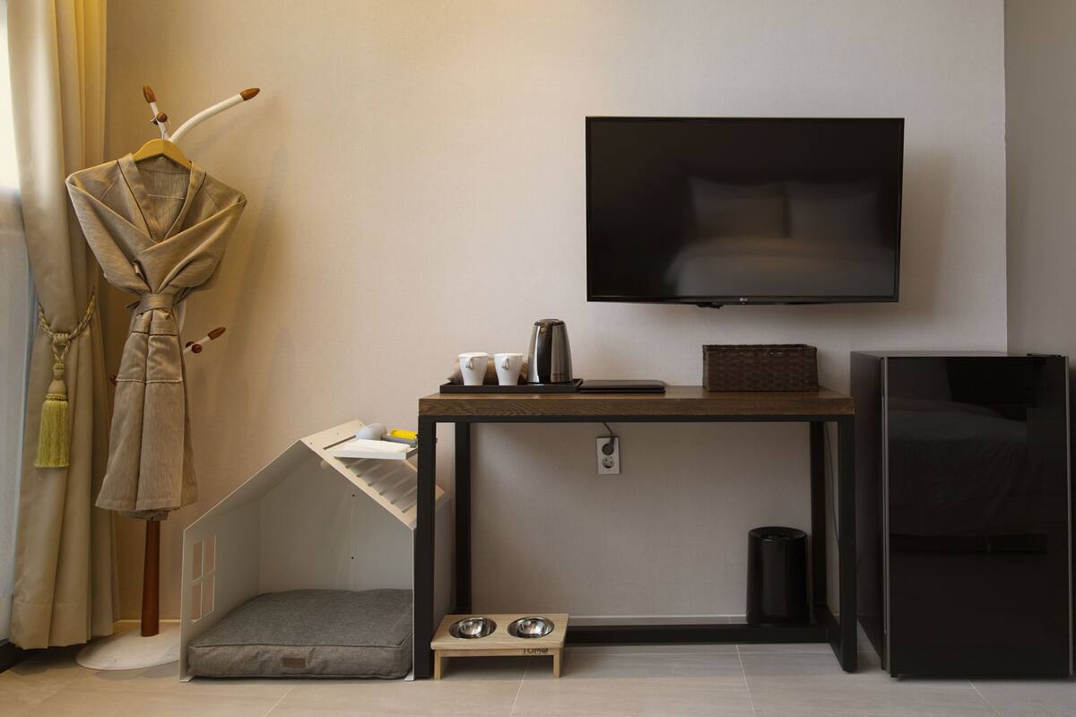 A compact hotel room with a bed, a TV mounted on the wall, a small desk with a coffee maker, a trash bin, and a pet bed.