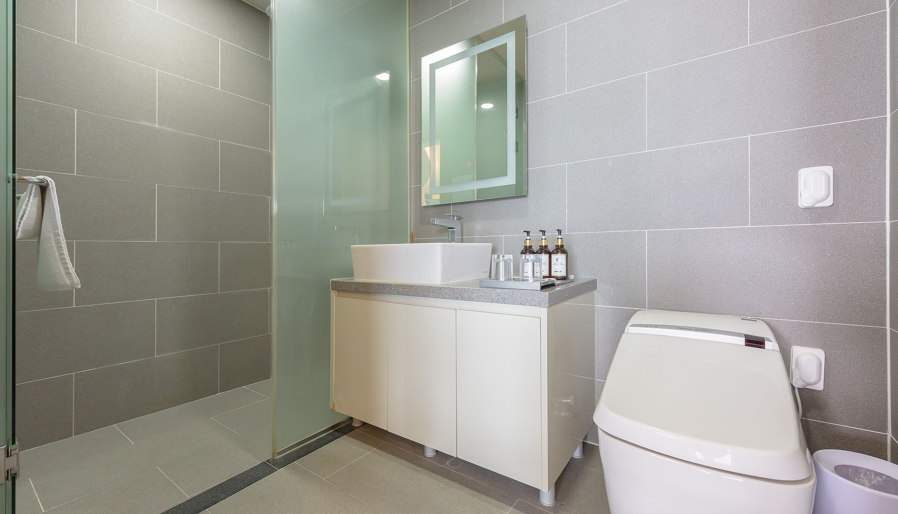 A modern bathroom with a glass shower enclosure, a white sink, and a toilet.