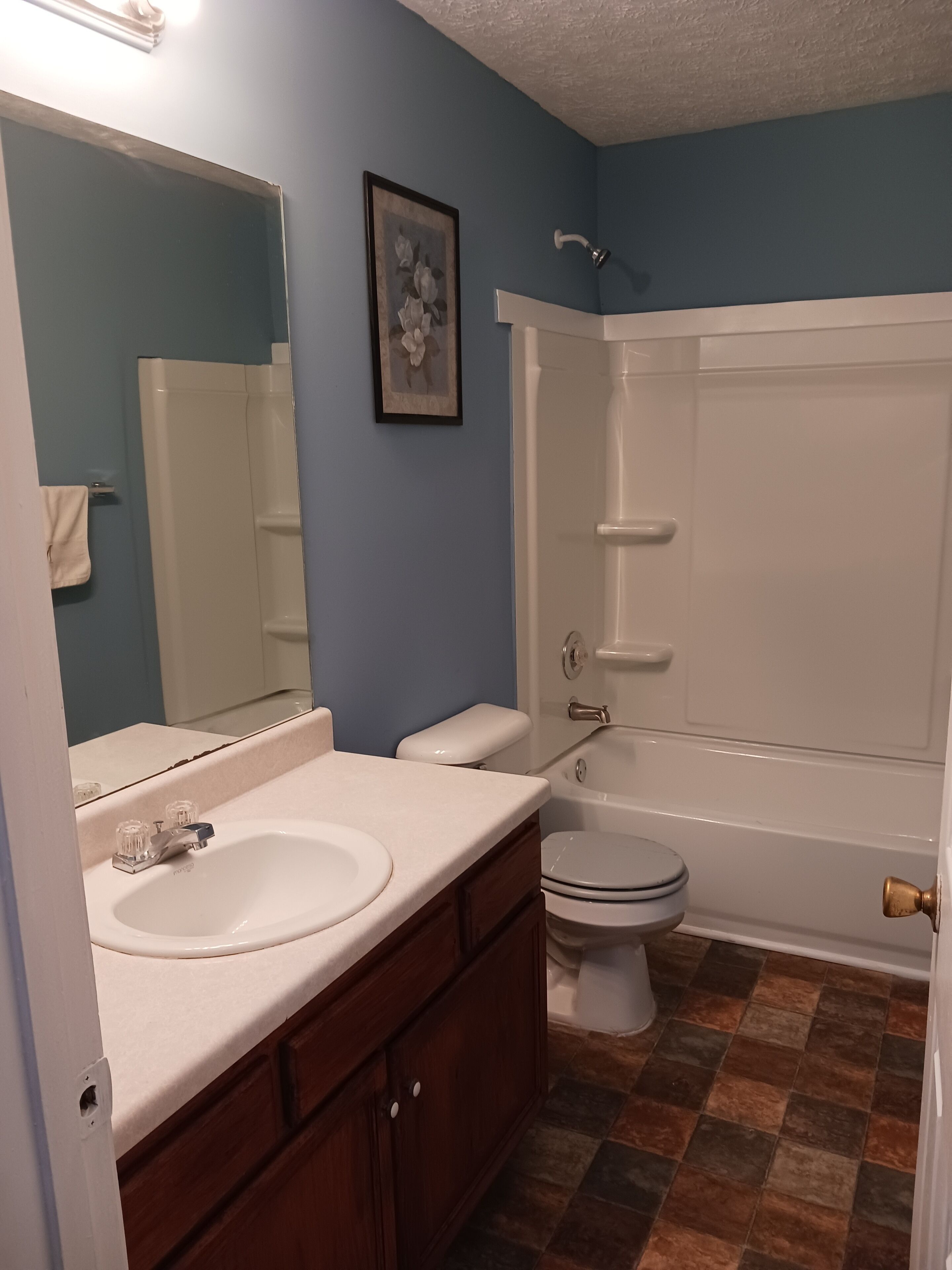 Hair dryer, towels, toilet paper