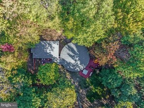 Exterior - Cabin w/ hot tub & fire pit at The Woods Resort (Hedgesville)