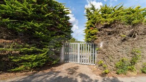 A gated driveway leading to a property surrounded by dense evergreen trees. - Villino la Cicala a Procchio (Marciana)