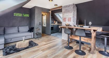 Apartment 'Industrial' with Wi-Fi
