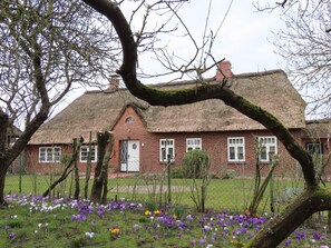 Esterni