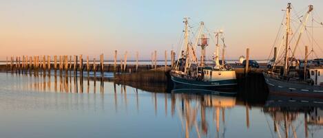 Marina/club náutico