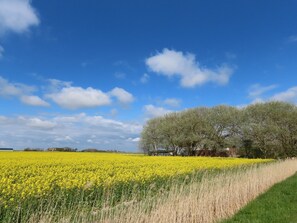 Miscellaneous - Large courtyard with lawn, garden shed and terrace, WLAN (Ockholm)