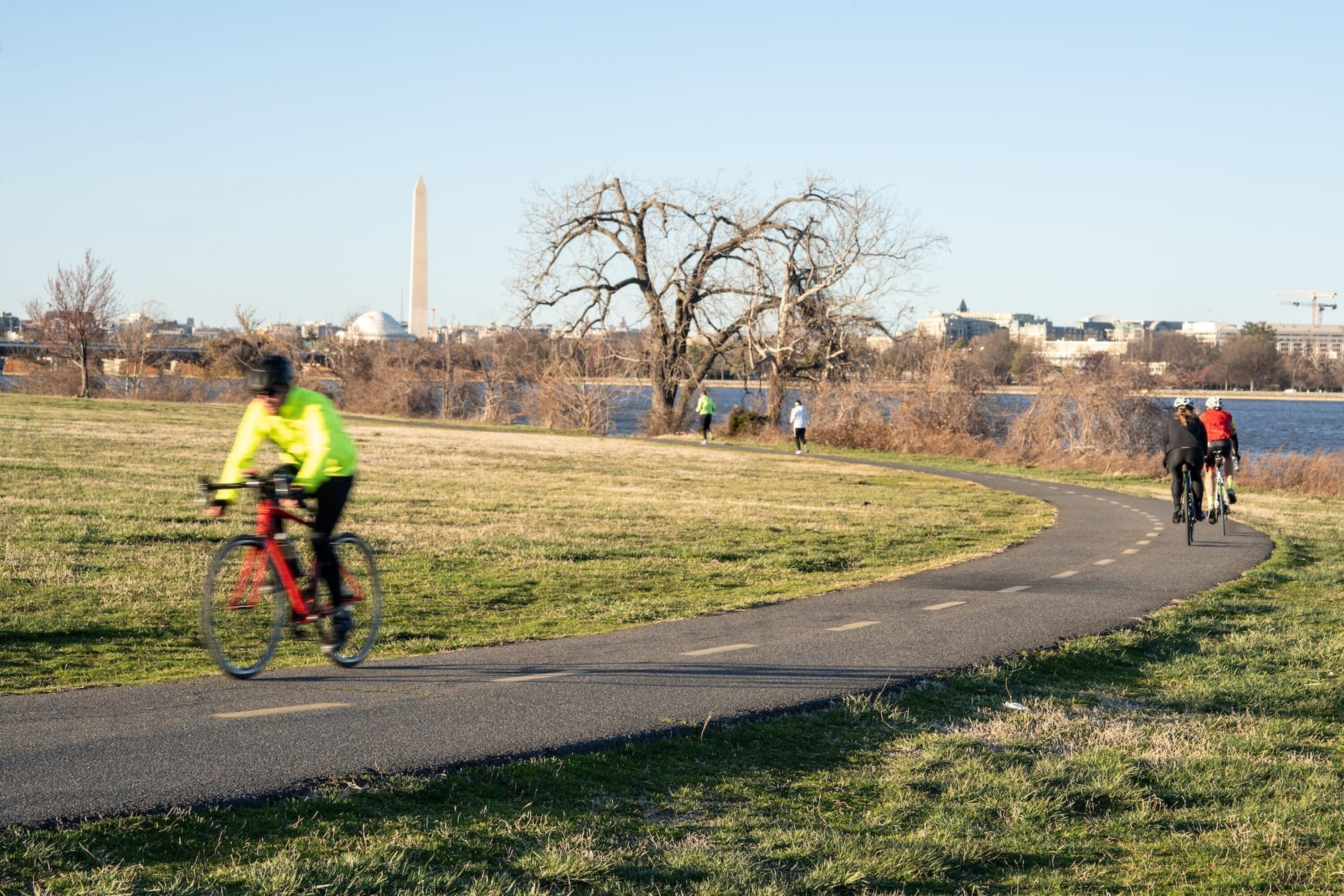 Un chemin pavé dans un parc, où l'on voit des cyclistes.