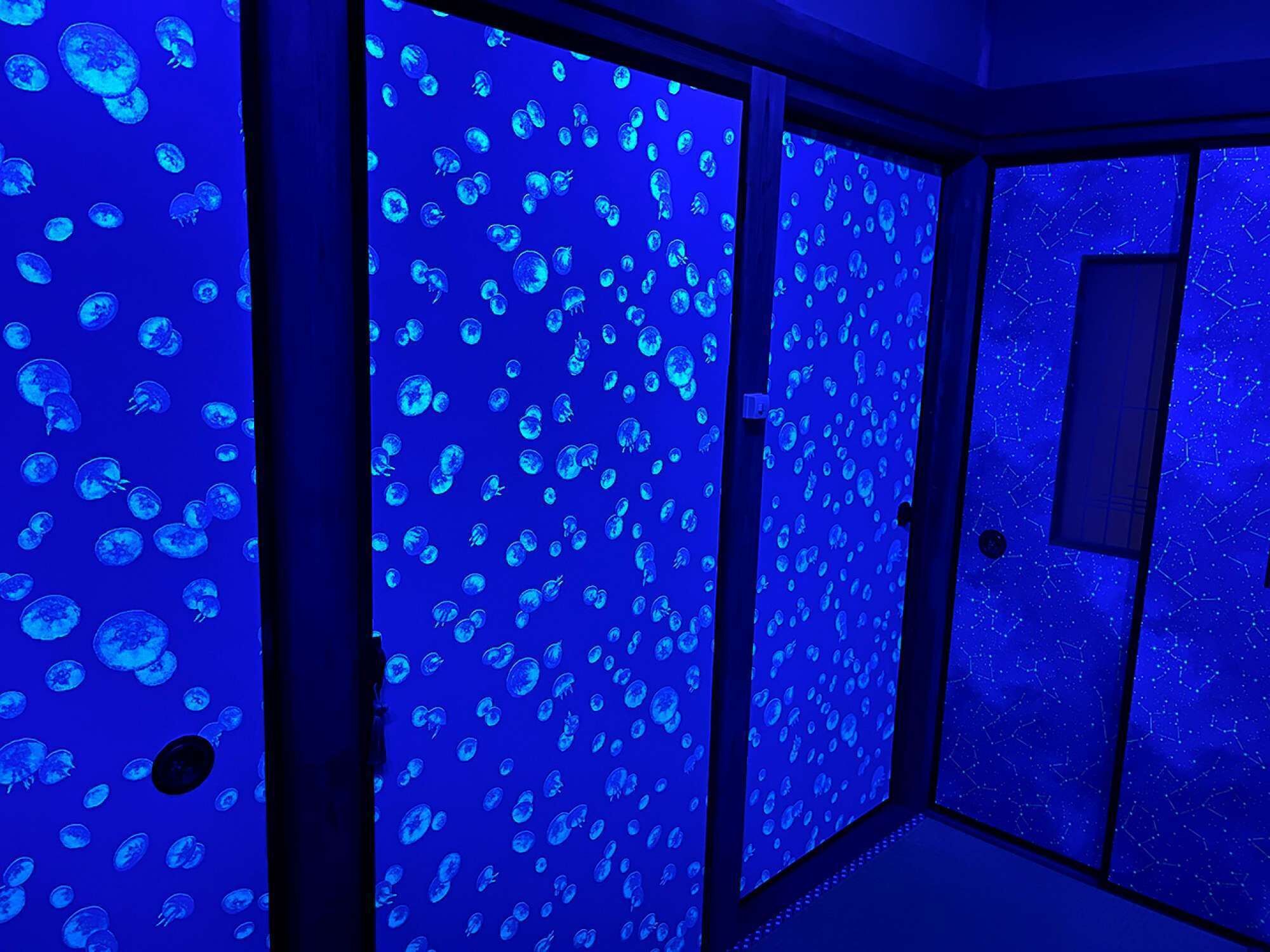 A room with a blue-lit wall featuring a pattern of jellyfish.