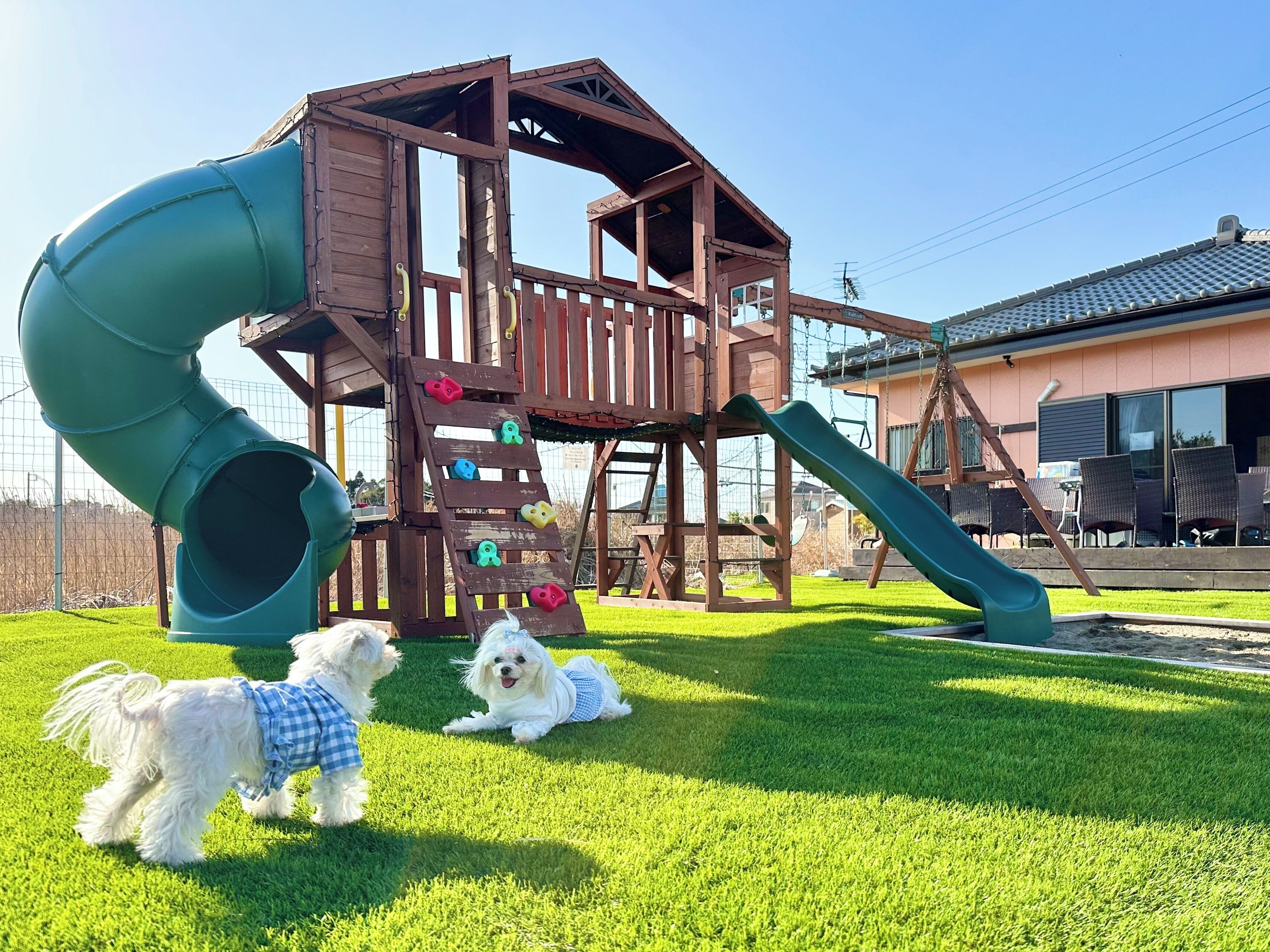 A wooden play structure with slides and climbing elements, a grassy yard, and a house in the background.