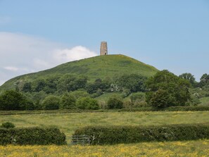 Miscellaneous - The Potting Shed (Langport)