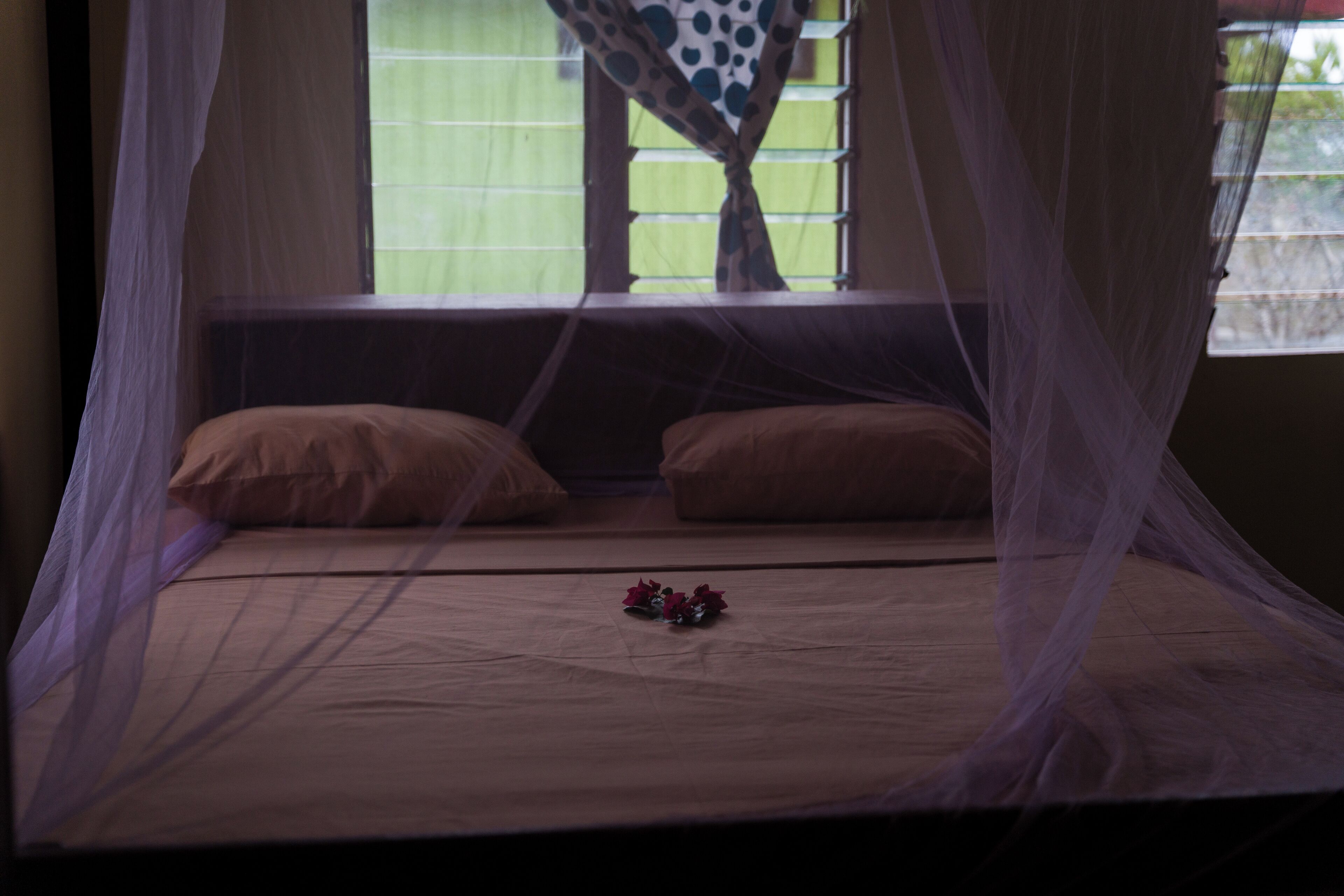 Een bed met klamboe, twee kussens en een klein boeket bloemen.