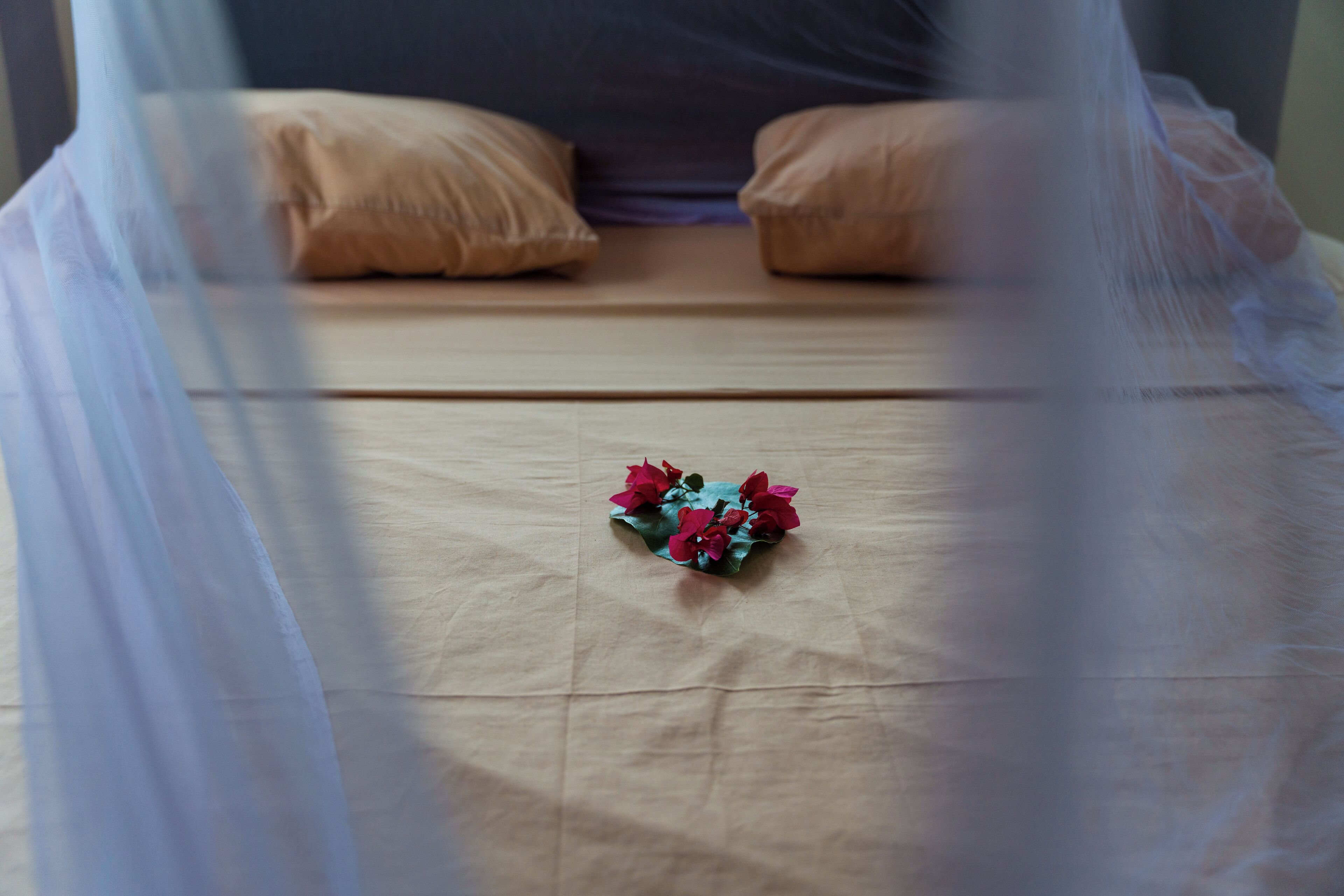 Una cama con mosquitero, dos almohadas y un pequeño ramo de flores sobre el edredón.