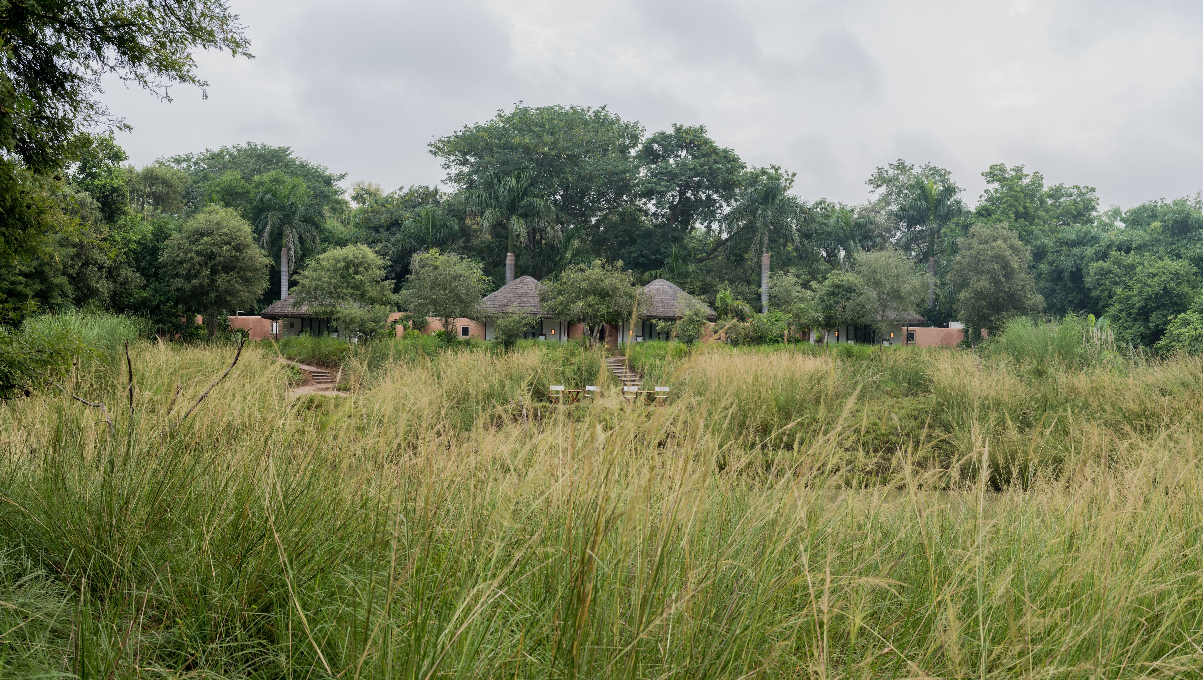 A rural setting with thatched-roof huts surrounded by tall grass and trees.