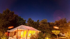 Un hébergement sous tente offrant une vue sur le ciel nocturne, entouré d'arbres et éclairé par un éclairage d'ambiance.