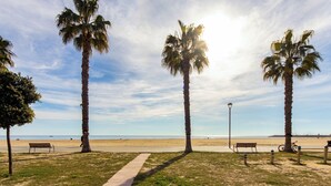 Un sentier bordé de palmiers et de bancs, qui longe la plage et mène à l’océan.