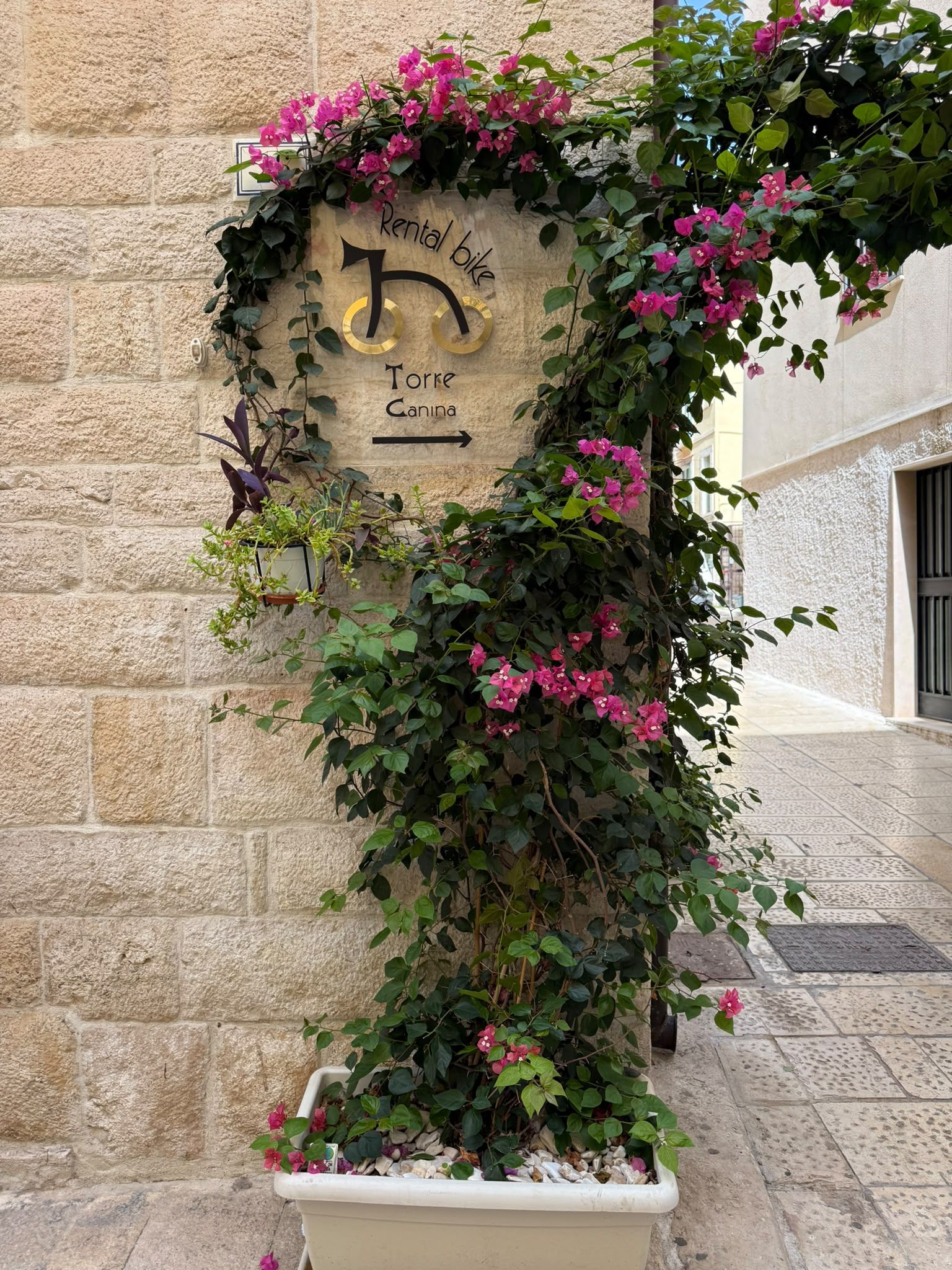 A stone wall with a sign indicating a rental bike service and a direction to Torre Canina.