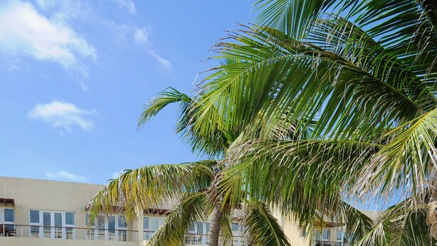 A pool area with lounge chairs and umbrellas, surrounded by palm trees and a building with balconies.