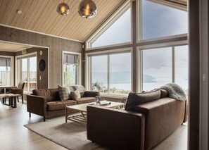 Smart TV, fireplace, books, stereo