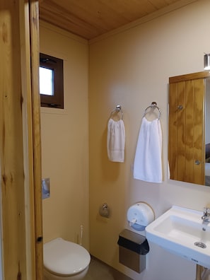 Un baño pequeño con inodoro, lavamanos y dos toallas colgadas en ganchos.