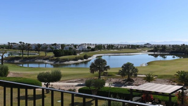 Ein Golfplatz mit Teich, Palmen und Blick auf eine Wohngegend im Hintergrund.
