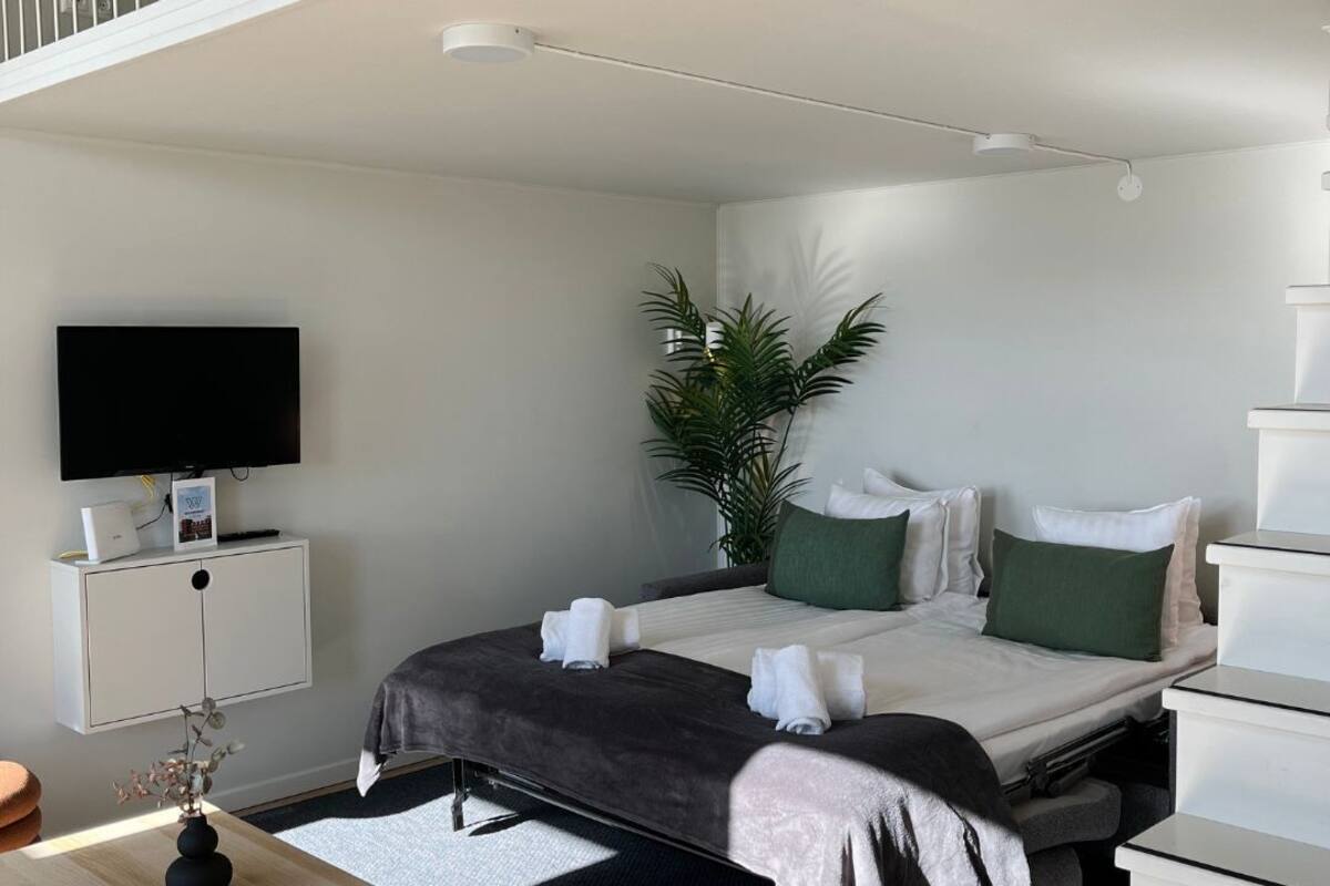 Un dormitorio moderno con cama, mesitas de noche, televisor y una planta.