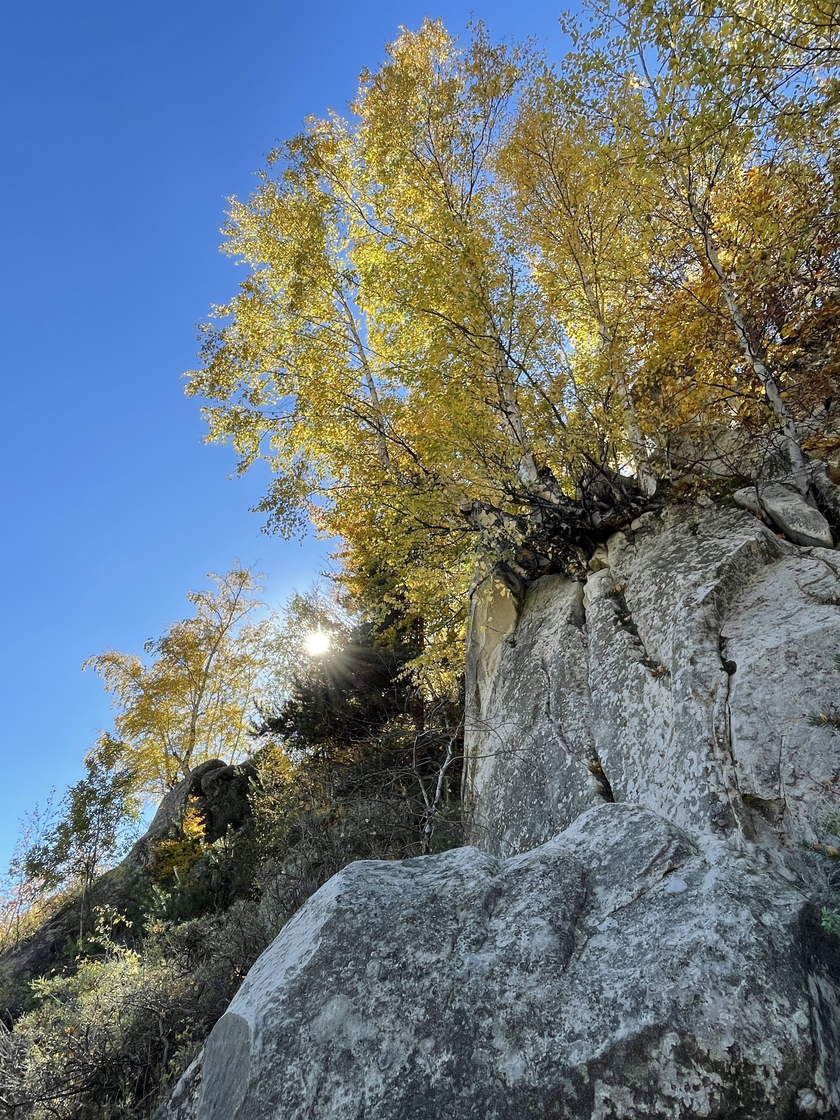 A rocky landscape with trees and a clear blue sky.