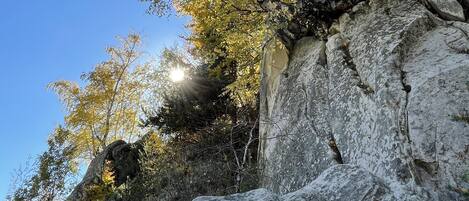 A rocky landscape with trees and a clear blue sky.