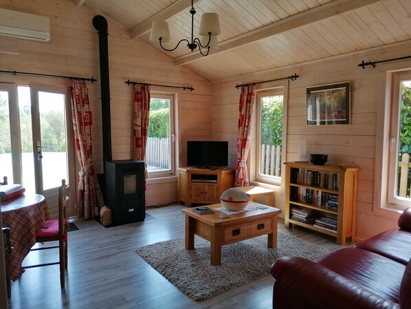 TV, fireplace, DVD player, books - Chalet with private pool overlooking meadow and woodland  (Vaunac)