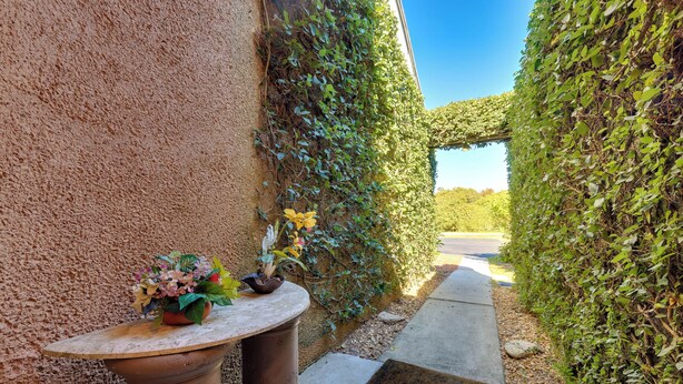 A pathway flanked by a textured wall and a wall covered in green foliage, leading to a clear sky. - Serene St Augustine Townhome: Walk to Beach! (St. Augustine)