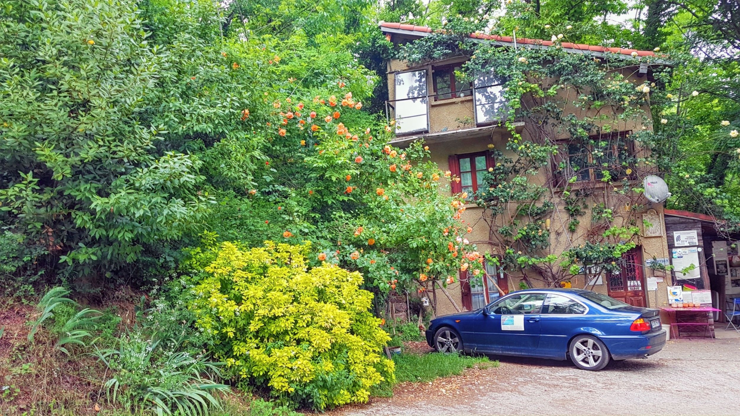 Garten