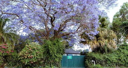 3BR Vacation Home Amidst Lush Garden. Perfect for family.