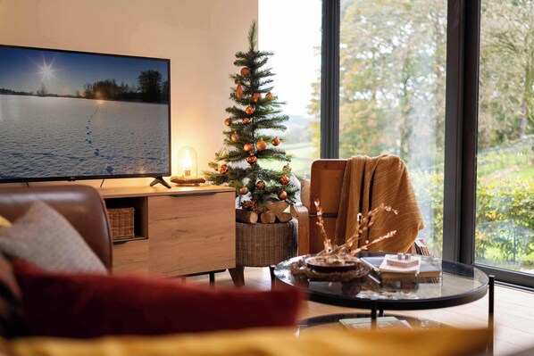 Una televisión, una chimenea