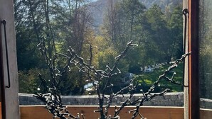Blick durch ein Fenster, im Vordergrund ein kahler Baum, ein klarer Himmel und ein Berg im Hintergrund.