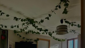 Ein Schlafzimmer mit Bett, Schreibtisch, Stuhl, Heizkörper und Fernseher an der Wand.
