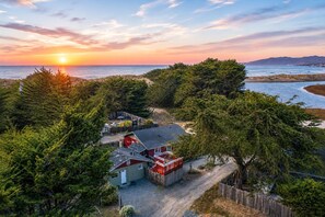 Eksteriør