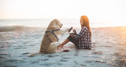 BodegaBreeze: Walk to Beach!Relaxing Home in Bodega Bay!Home+Studio!HtTb/WiFi