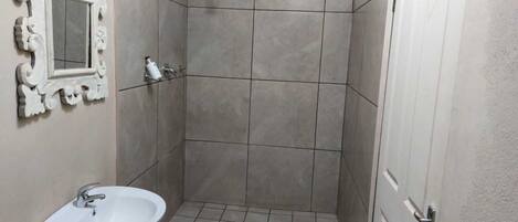 Un baño con lavamanos pedestal, ducha con cabezal de ducha manual y un espejo decorativo en la pared.