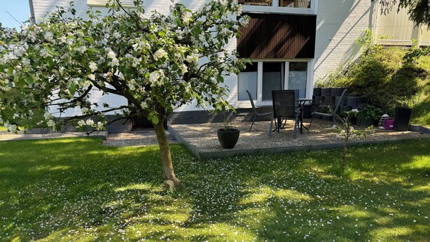 A tree with white blossoms in a grassy area with a patio and outdoor furniture. - Hummelglück - Holiday apartment with terrace, close to Hamburg (Bendestorf)