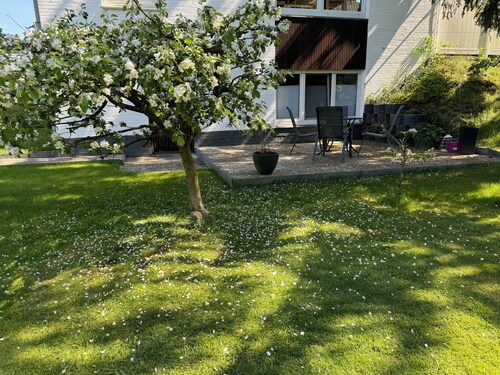 Hummelglück - Ferienwohnung mit Terrasse
