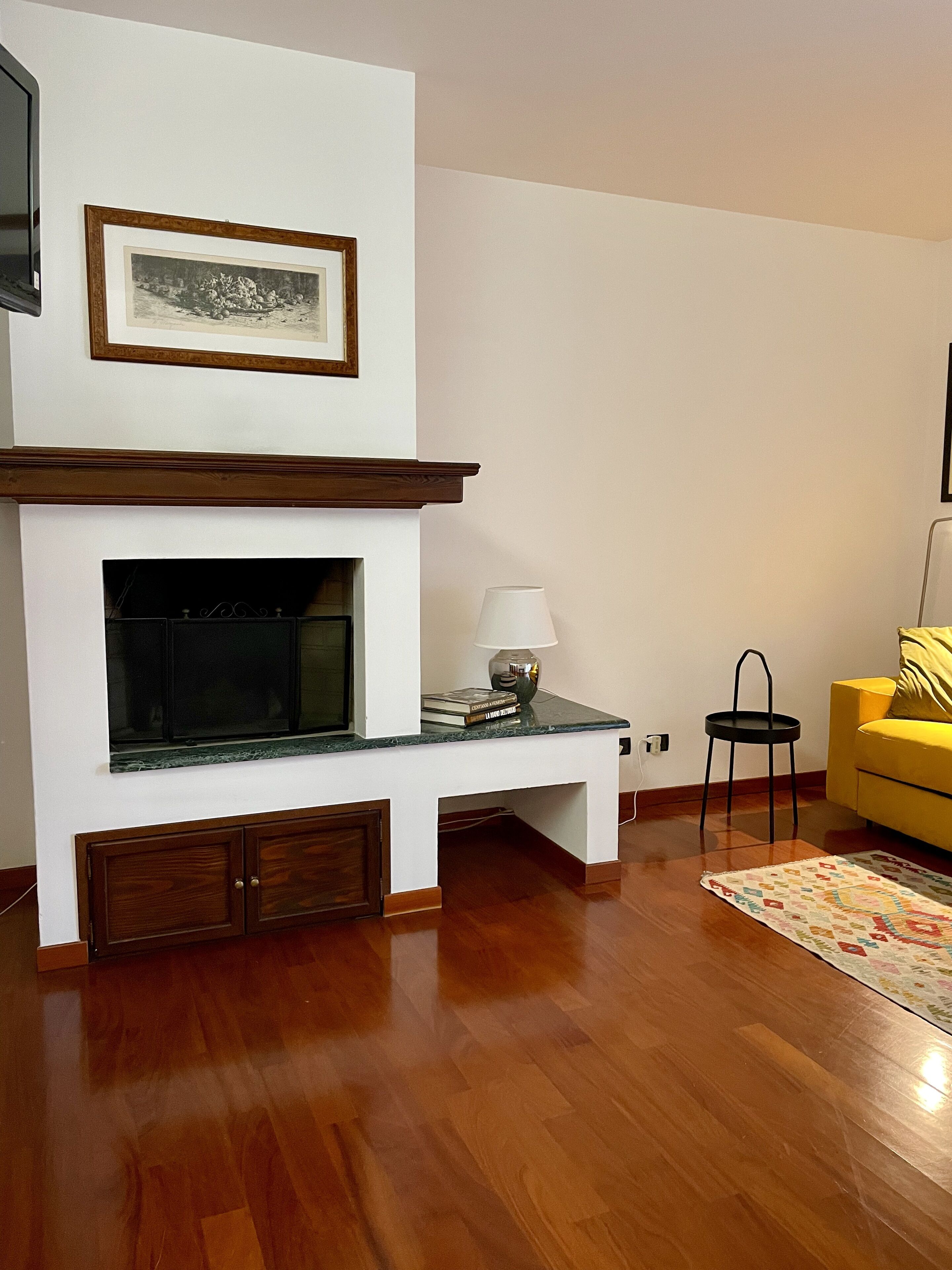 Smart TV, fireplace, books