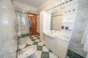 Shower, hair dryer, bidet, towels