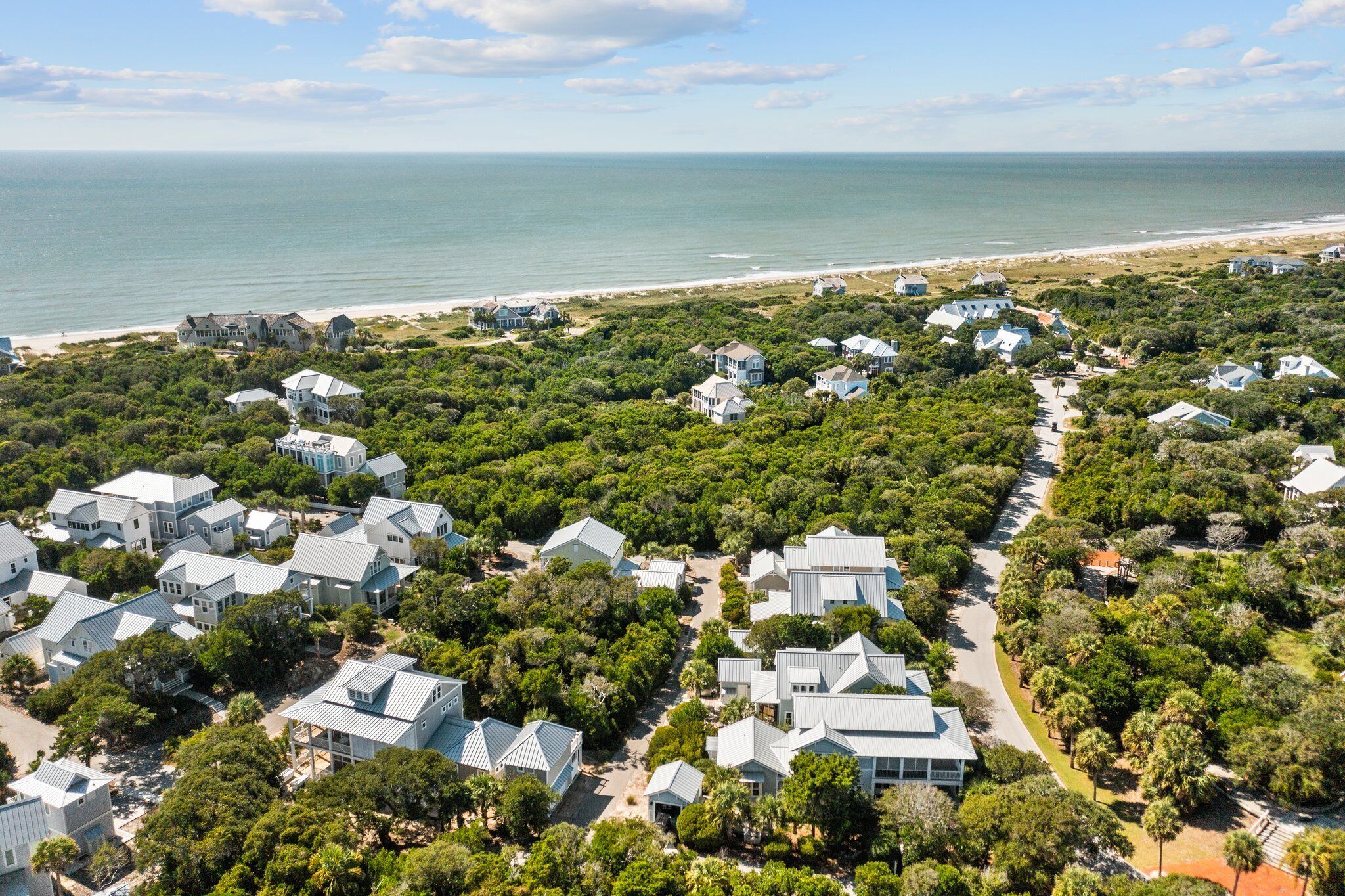 An aerial view of a coastal residential area with houses surrounded by dense greenery and a beach in the background.