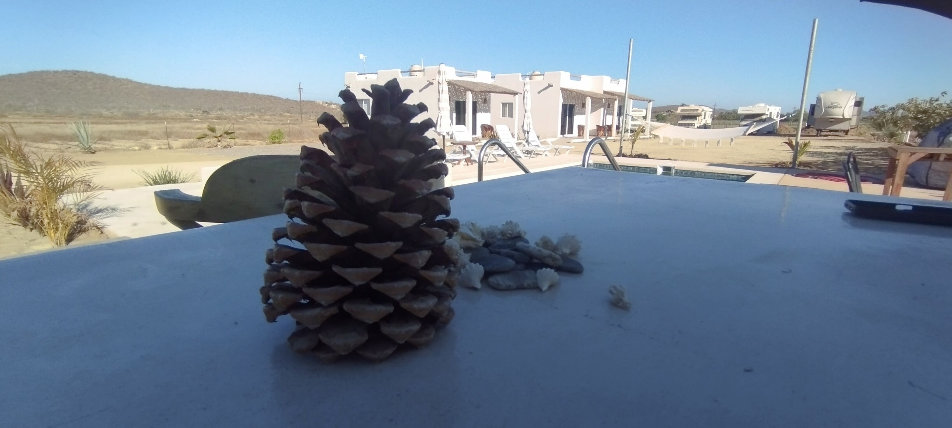 Une table avec une pomme de pin et des pierres, une piscine, et un bâtiment en arrière-plan.