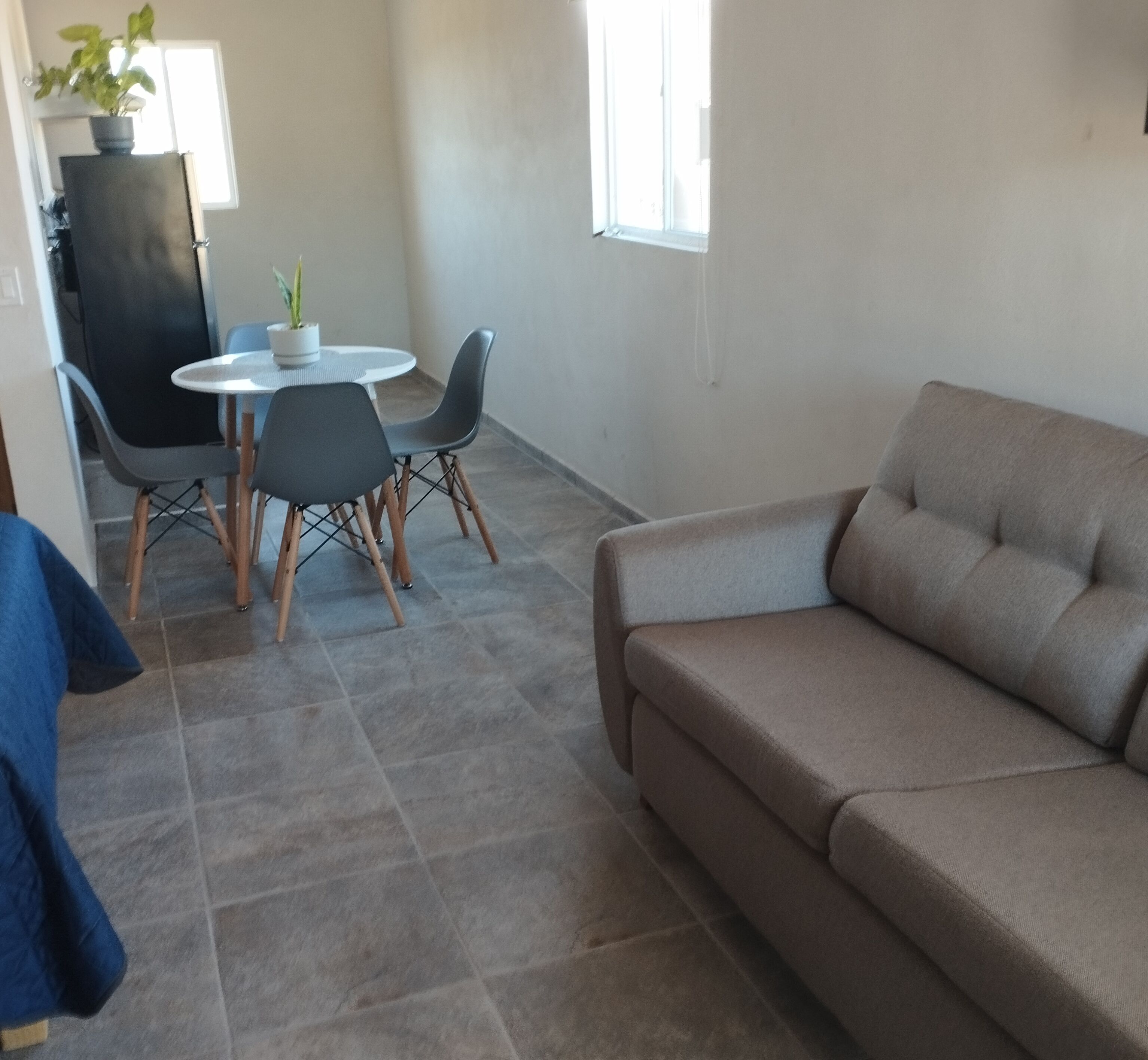 A living room with a beige sofa, a dining table with chairs, and a potted plant.