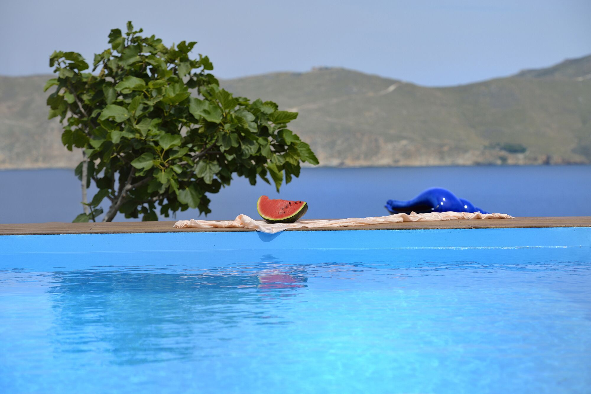 Μια πισίνα με κρυστάλλινα, γαλάζια νερά, ένα δέντρο, μια φέτα καρπούζι και ένα μπλε άγαλμα δελφινιού.