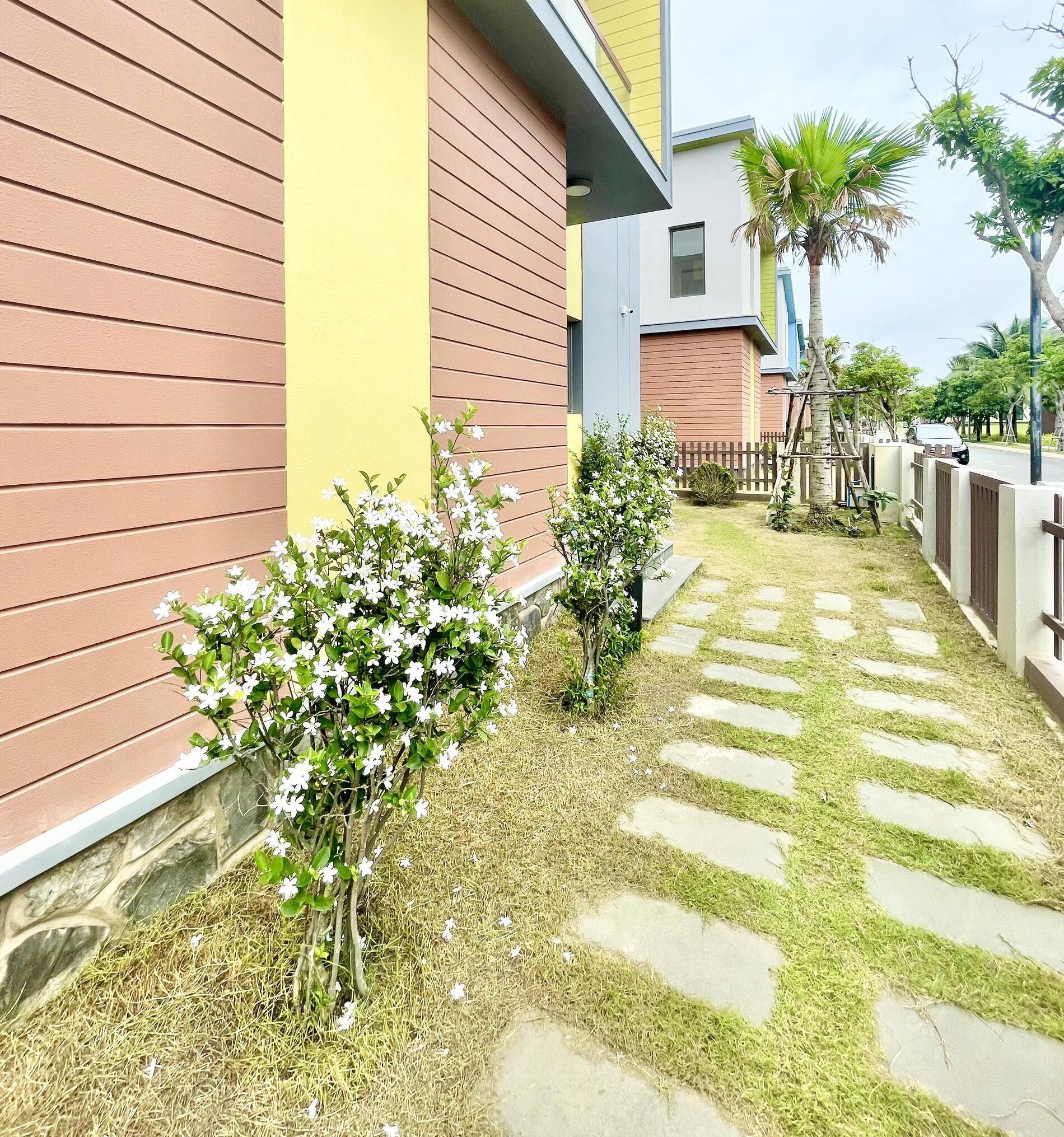 A residential area with a pathway, small bushes, and a fence.