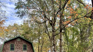 Une maison de campagne en bois, avec une porte et des fenêtres vertes, entourée d’une forêt aux feuilles d’automne.