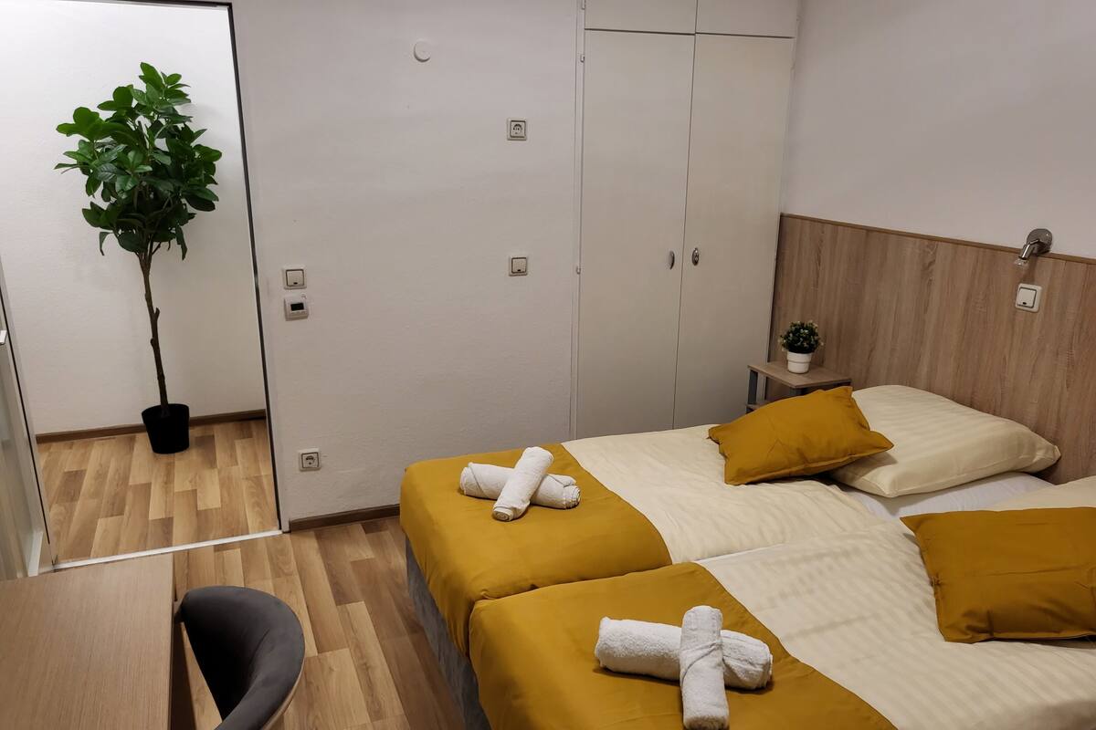 A hotel room with two beds, a desk, a chair, a potted plant, and a wardrobe.